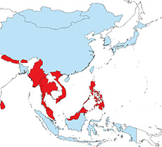 アジア地域の正確な位置の基準の採用状況（水色：採用、赤：未採用、白：不明）（国土地理院）