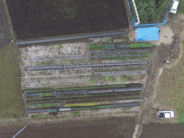 ドローンで上空から撮影した畑の画像