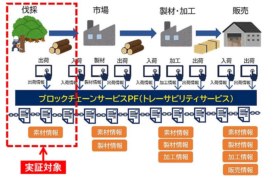 図版-01